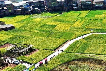 50万亩相当于哪个市