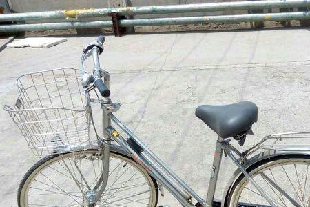 青岛自行车品牌
