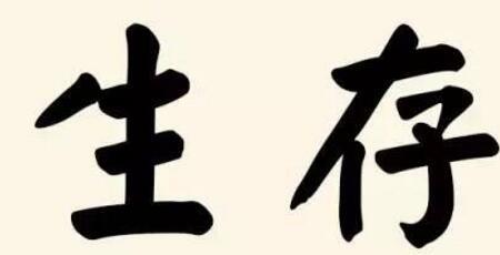 关于一技之长的诗句