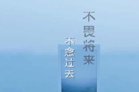 不问过去不论将来什么意思