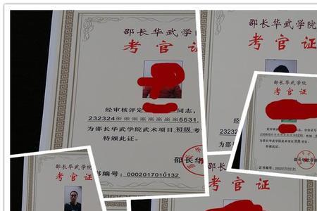 中国武术教练证最高多少级