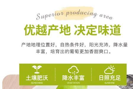 阳光玫瑰青提几年结果