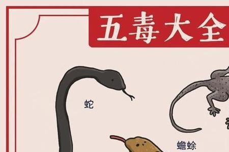 人五毒是什么意思