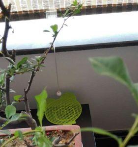 梅花秋天长了叶子怎么办