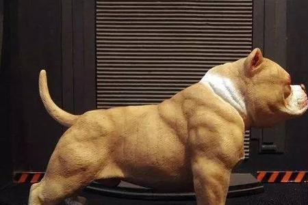 大型恶霸犬