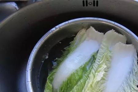 腌酸白菜一斤白菜放多少盐