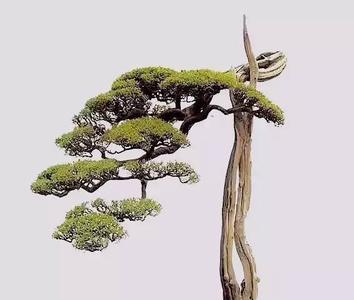 惊天动地 还是顶天立地