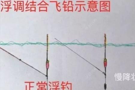 野钓跑铅好还是调平水钓法好