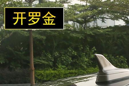 鲨鱼的鲨鱼鳍有多贵