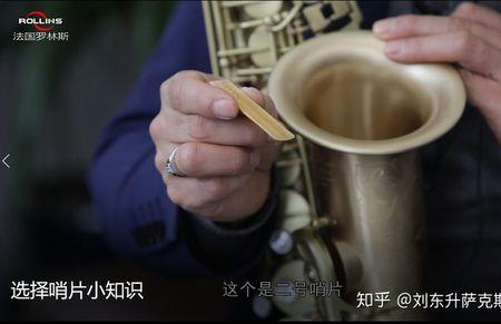 哨片发声原理