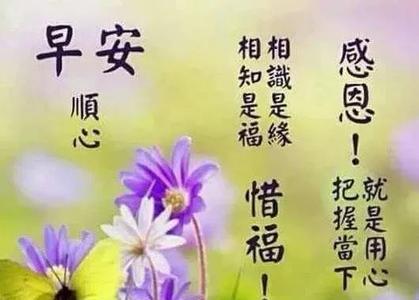 早上下雨问候语温馨