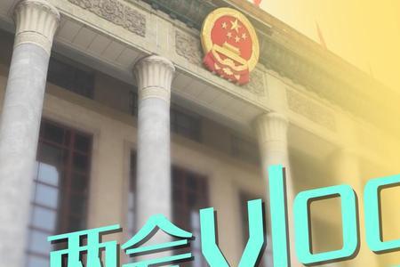 vloga是什么牌子