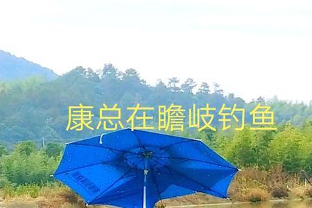 现在早上好钓鱼吗