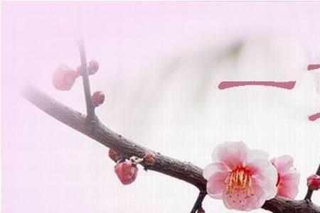 一剪梅歌词是什么意思