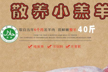 羊尾巴位置叫啥