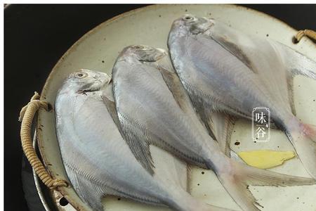 会叫妈妈的鱼能吃吗