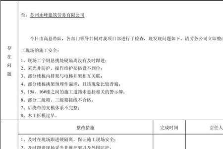 整改责任是什么意思