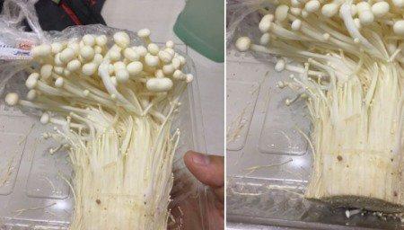 蘑菇冰箱冷藏能保存多长时间