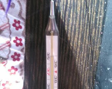 体温计怎么看有没有甩下来