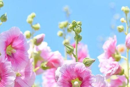内心充实是什么意思