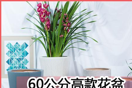 中号花盆标准尺寸