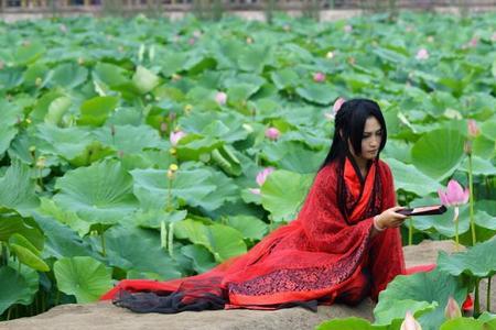 荷女什么意思啊