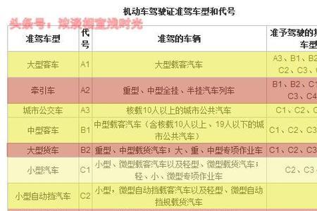 准驾车型不符以什么为依据