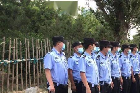 警察，交通，城管属一个单位吗