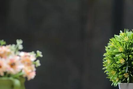 吃亏的表现是什么