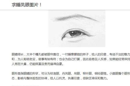 小说中男生的眼型