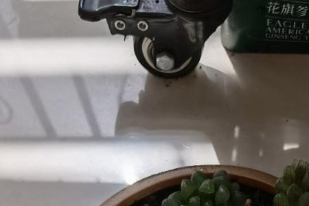 宝贵近盆啥意思