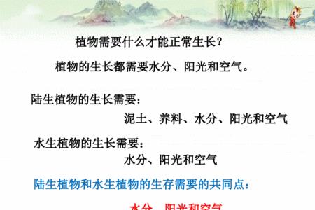 各种植物的特点精神品质