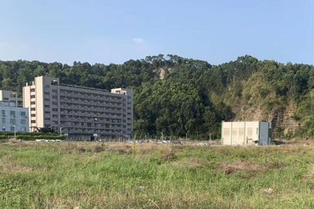 75亩等于多少平方
