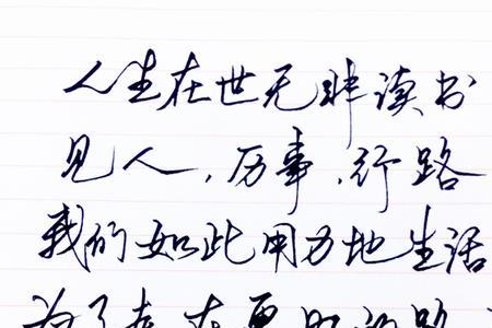 借我孤独如初见原文