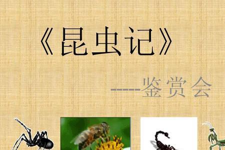 昆虫记童年回忆章节概括