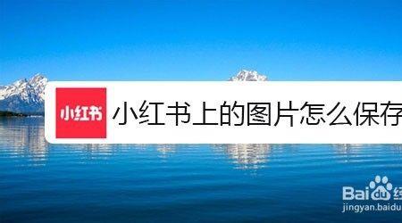 小红书好友发的图片如何保存