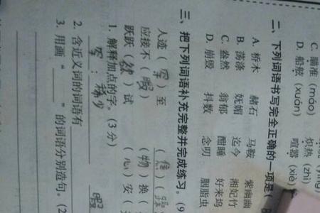 什么的小松鼠填合适词语