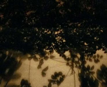 “天黑了”与“天，黑了”有什么区别