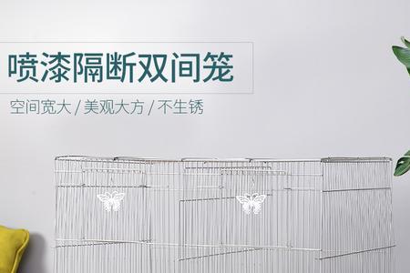 玄凤鹦鹉最适合什么尺寸的笼子
