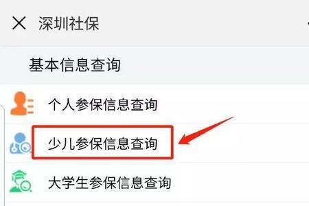 新生儿医保查询流程