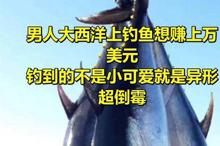 钓鱼倒霉的句子