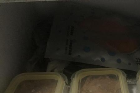 做好的猫饭冻冰箱能放多久