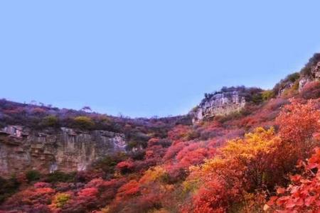 预计2022庄子岭红叶最佳观赏期