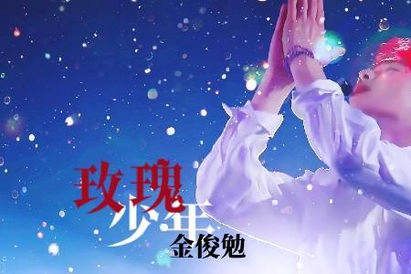 玫瑰少年形容什么样的人