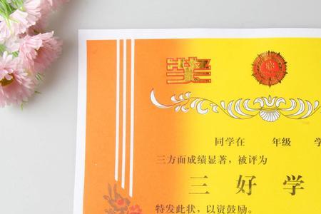三好学生标兵和三好生的区别