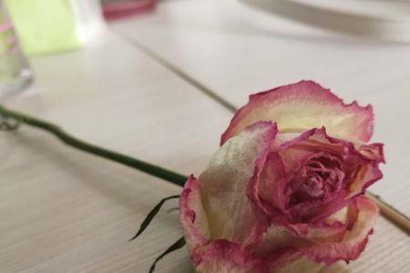 花枯萎会臭吗