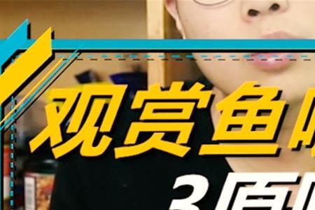 鱼到家为什么两三天内不能喂食