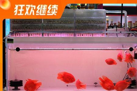 为什么滴流盒总是流水不畅