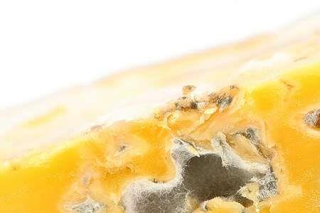 玉米棒长了橙色的霉菌