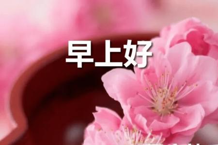早上好长辈问候语